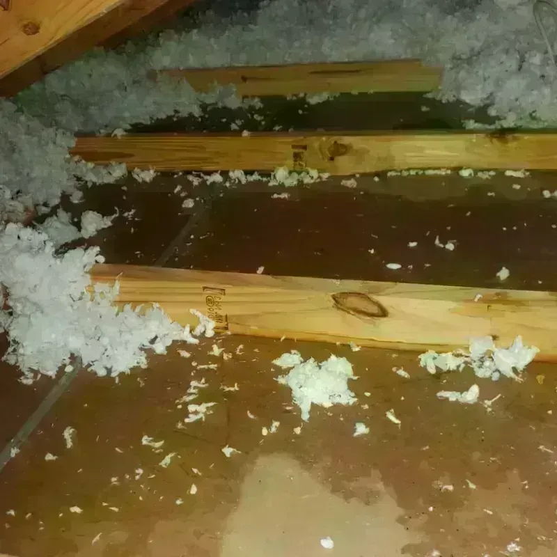 Attic Water Damage in Gleason, TN